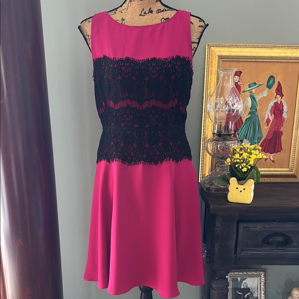 Ann Taylor Loft Pink and Black Lace Dress size 6.